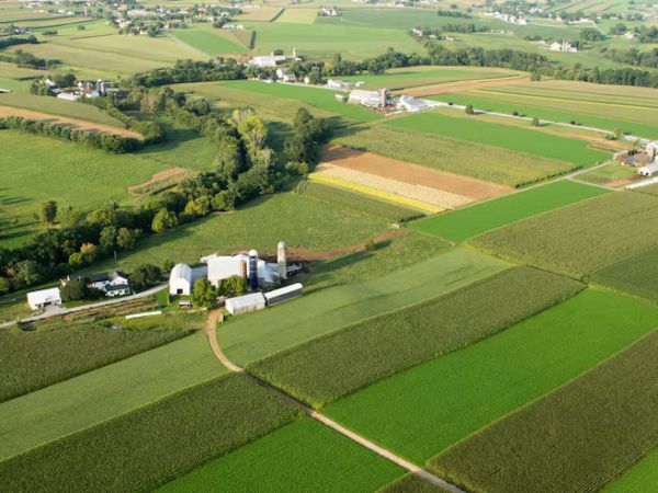 agricultural-field